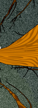3920896263016119892-3_part_04.gif