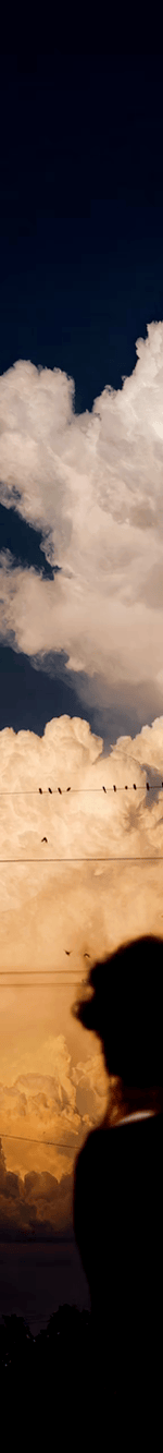 3926695778948007558-3_part_02.gif