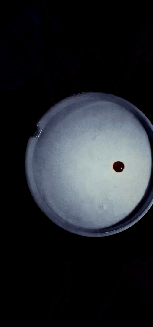 3942420980893384049-3_part_01.gif
