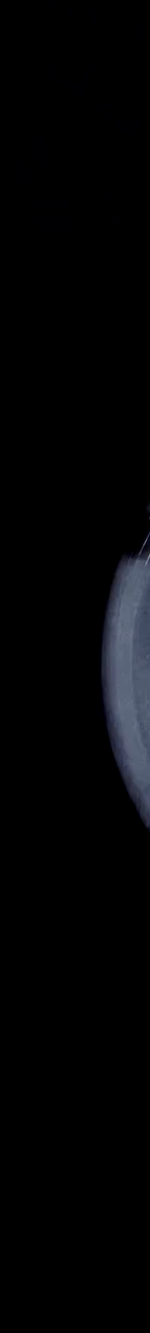 3942420980893384049-3_part_01.gif