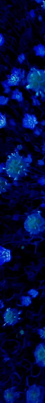 3963645490194781776-3_part_01.gif