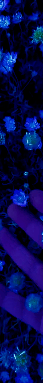 3963645490194781776-3_part_03.gif