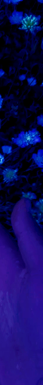 3963645490194781776-3_part_05.gif