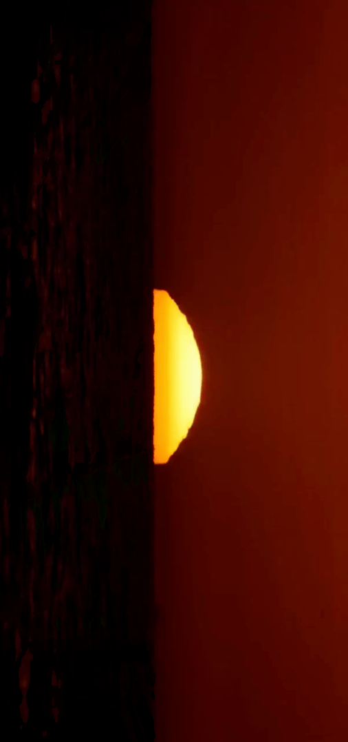 3965801358038240273-3_part_01.gif