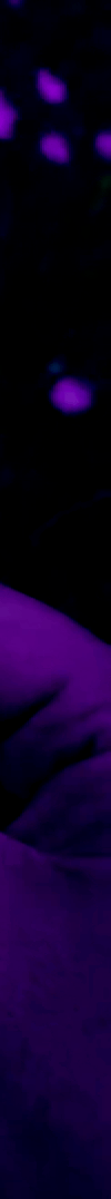 3971753240418307395-3_part_02.gif