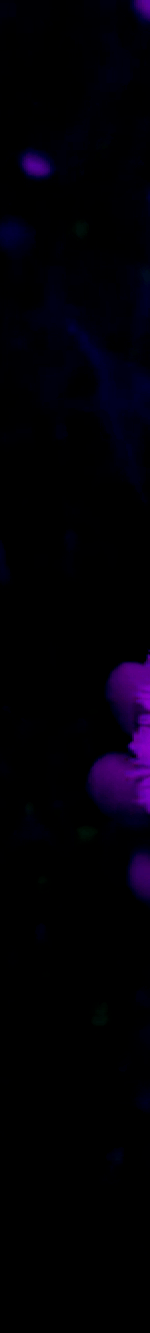 3971753240418307395-3_part_02.gif