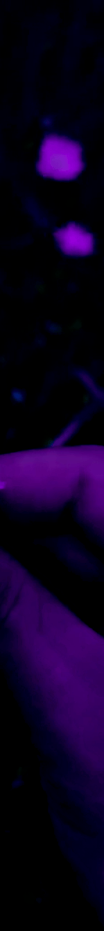 3971753240418307395-3_part_04.gif