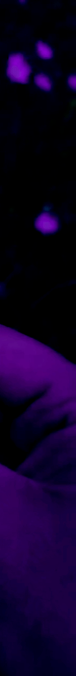 3971753240418307395-3_part_05.gif