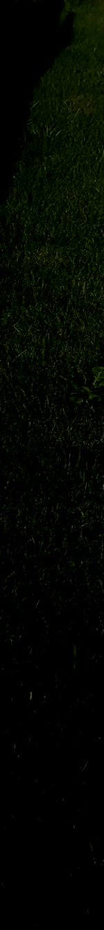 3982453251707832965-3_part_01.gif