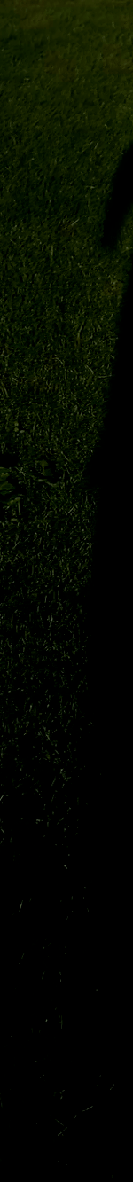 3982453251707832965-3_part_02.gif