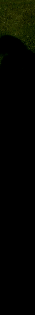 3982453251707832965-3_part_03.gif
