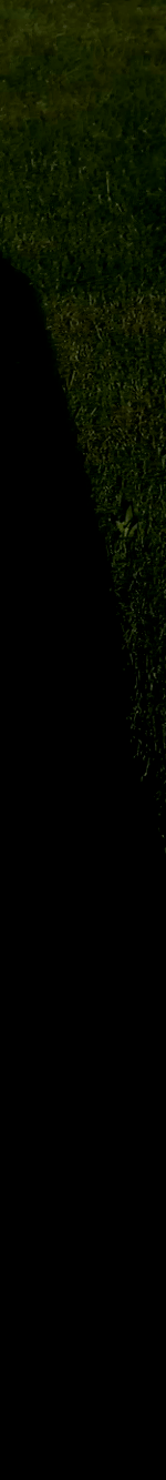 3982453251707832965-3_part_04.gif