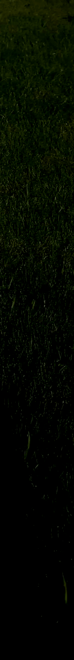 3982453251707832965-3_part_05.gif