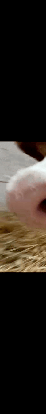 4006389669253326827-3_part_01.gif