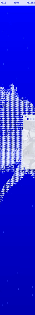 4010066255847480595-3_part_02.gif