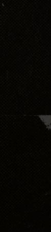 4011420350664720068-3_part_02.gif