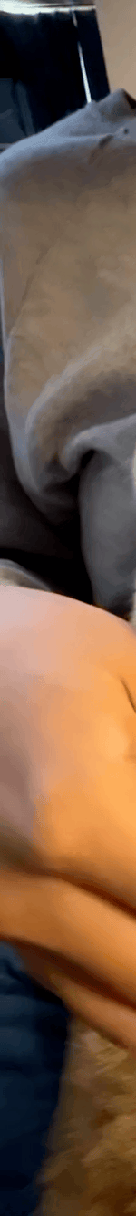 4013257177693549336-3_part_01.gif