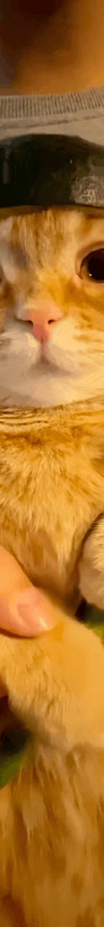 4013257177693549336-3_part_03.gif