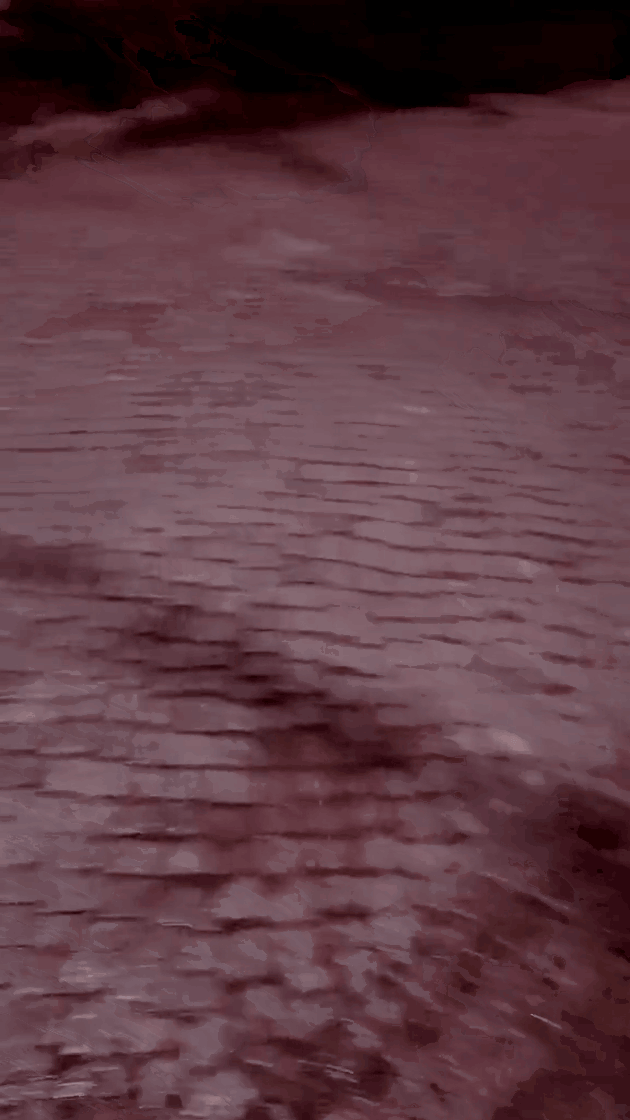 tiktok-ZS9PEWEJt_featured.gif