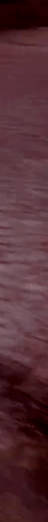 tiktok-ZS9PEWEJt_part_02.gif