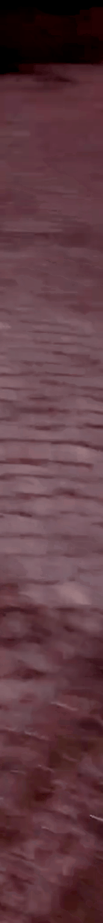 tiktok-ZS9PEWEJt_part_04.gif