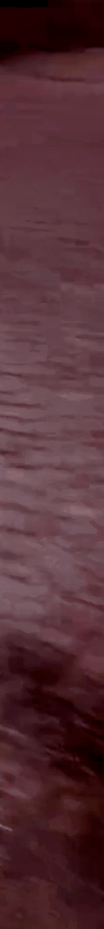 tiktok-ZS9PEWEJt_part_05.gif