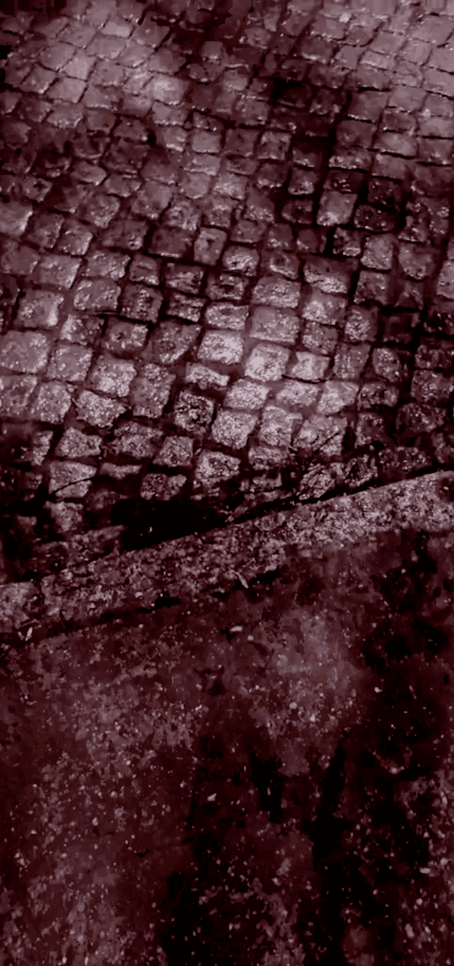 tiktok-ZS9PEp1NF_part_01.gif
