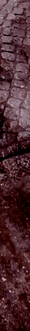 tiktok-ZS9PEp1NF_part_02.gif