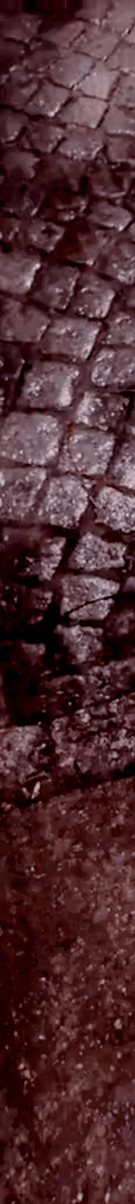 tiktok-ZS9PEp1NF_part_01.gif