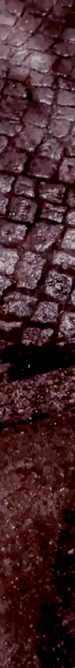 tiktok-ZS9PEp1NF_part_02.gif