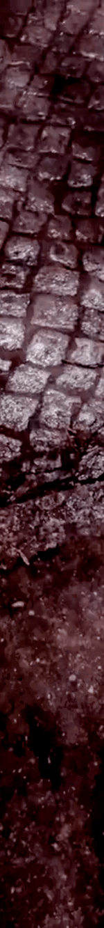 tiktok-ZS9PEp1NF_part_03.gif
