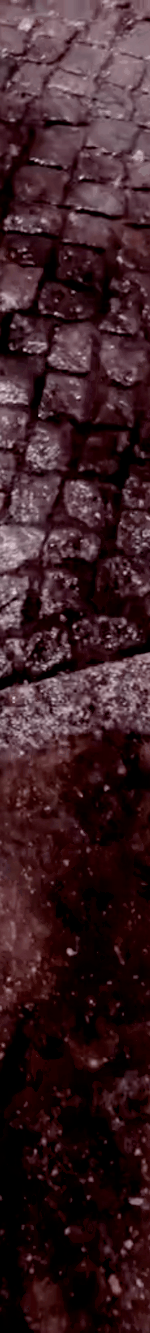 tiktok-ZS9PEp1NF_part_04.gif