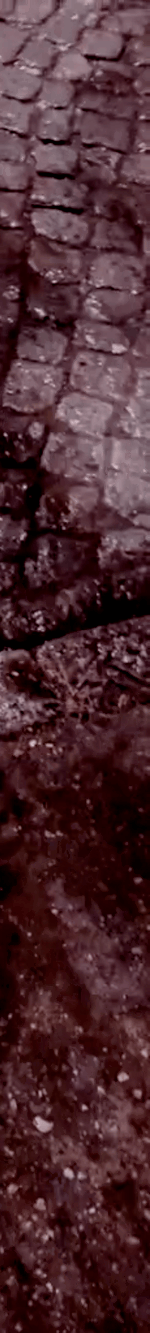 tiktok-ZS9PEp1NF_part_05.gif