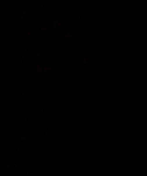tiktok-ZS9kreQgs_part_01.gif