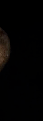 tiktok-ZS9txQQ1h_part_03.gif