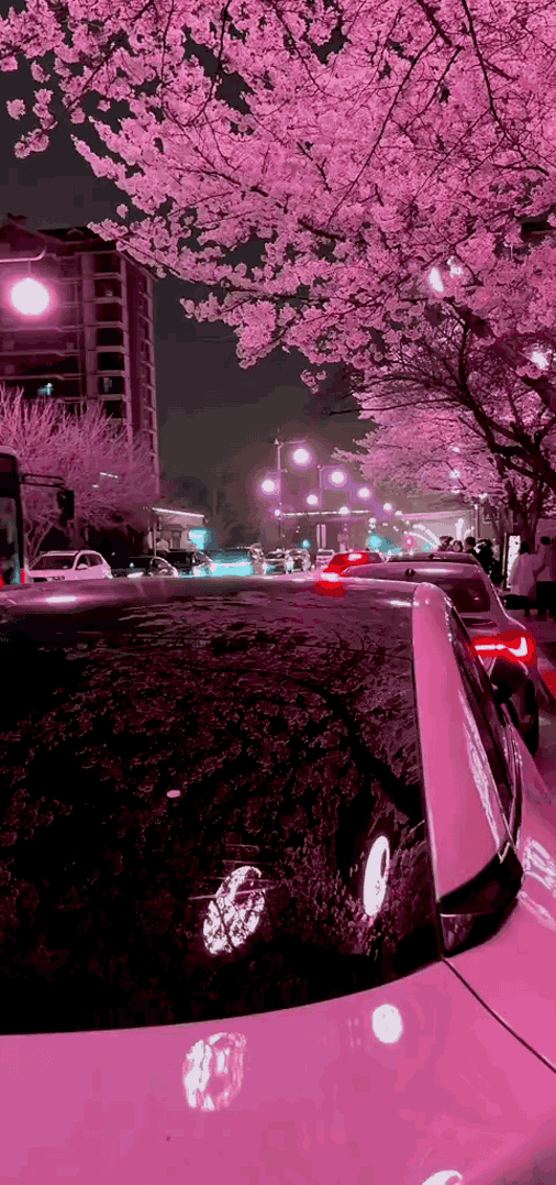 tiktok-ZS9xbJ7VV_part_01.gif