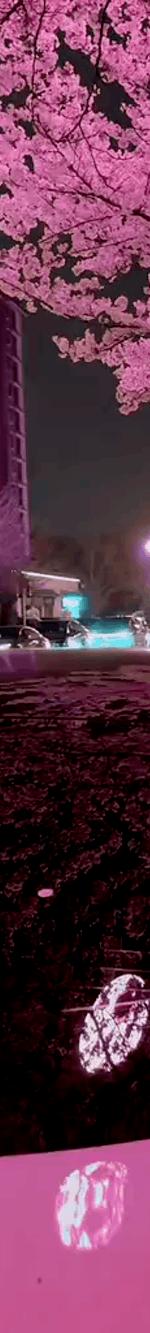 tiktok-ZS9xbJ7VV_part_02.gif