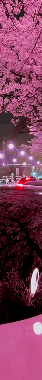 tiktok-ZS9xbJ7VV_part_03.gif