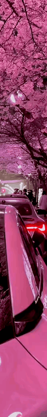 tiktok-ZS9xbJ7VV_part_04.gif